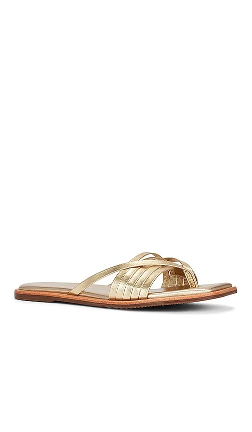 Kaanas Makian Sandal in Metallic Gold