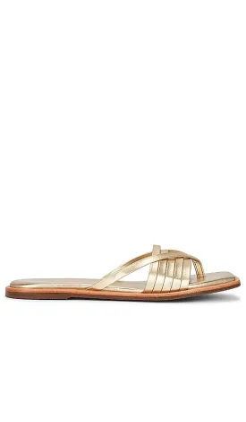 Kaanas Makian Sandal in Metallic Gold